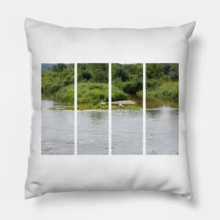 Lake with swans and ducks in the water. Relax in the nature. Sunny summer day in Poland. Pillow