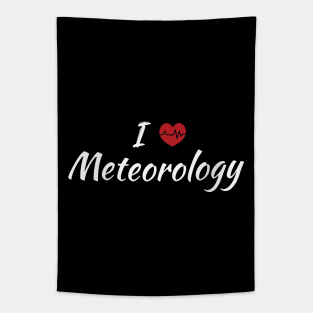 I Love Meteorology Cute Red Heart Tapestry