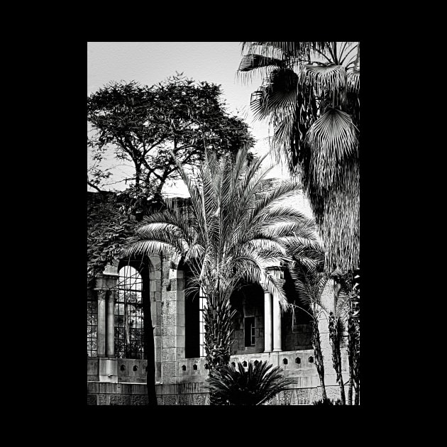 Arches and Palm Trees in Jerusalem by Pamela Storch