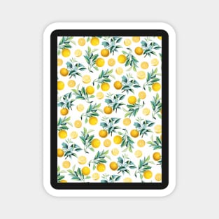 Oranges pattern, Vintage illustration, Botanical illustration, Fruit, Orange, Pattern, Modern art, Wall art, Print, Minimalistic, Modern Magnet