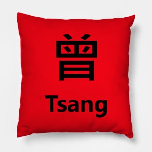 Chinese Surname Tsang 曾 Pillow