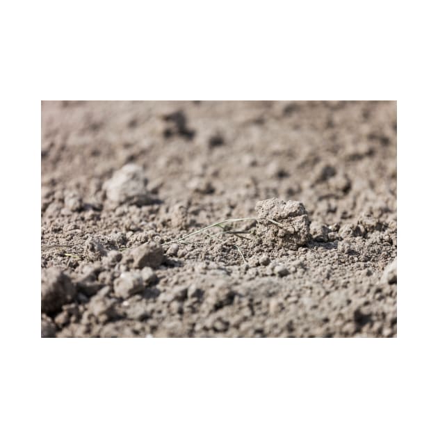 Dried Dirt Rubble Surface With Green Grass Stem by textural