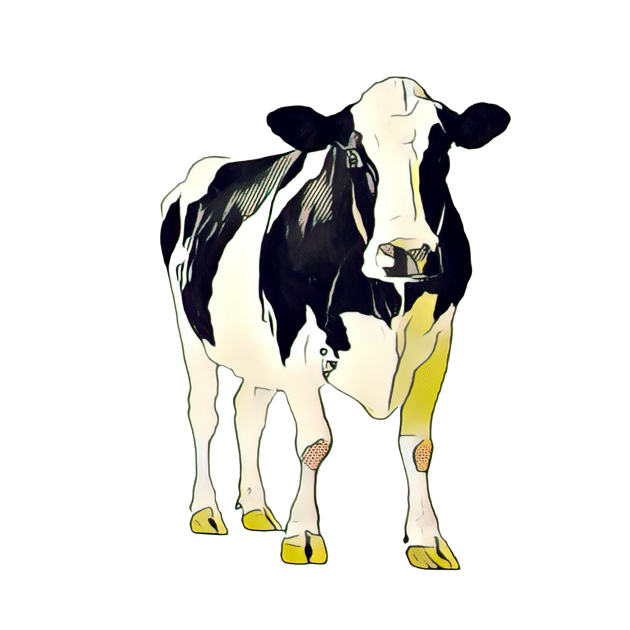 Moo Cow - Cow - T-Shirt | TeePublic