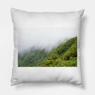 Rainforest landscape in Monteverde Costa Rica Pillow