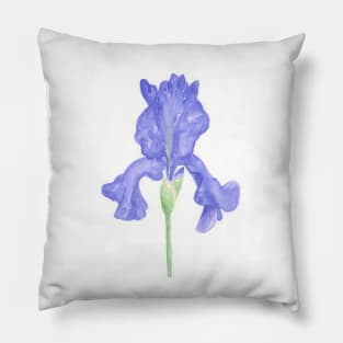 Blue Iris Pillow
