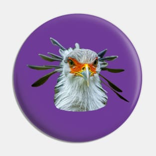 Regal Secretary Bird Pin