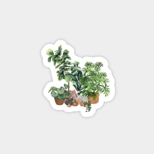 House Plants Illustration 14 Magnet