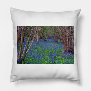 Bluebell Woods Bluebells Basildon Park Reading Berkshire Pillow