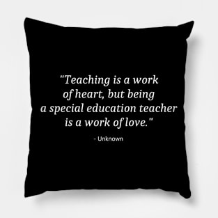 Education Teacher Pillow