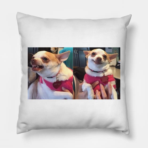 Lily Lu Meme Pillow by FlashmanBiscuit