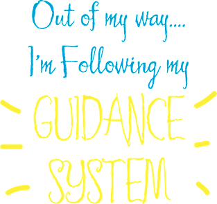 Following My Guidance System Magnet