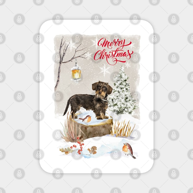 Wire Haired Dachshund Dog Merry Christmas Magnet by Puppy Eyes