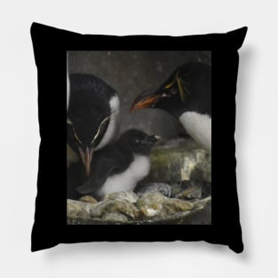 Rockhopper Penguin family Pillow