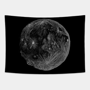 Hand drawn moon Tapestry