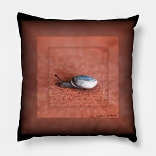 Macro Photograph of Snail on Terracotta Digital Art Pillow