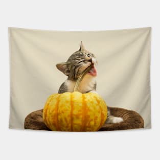 Cat meme: Cat eating Pumpkin Tapestry