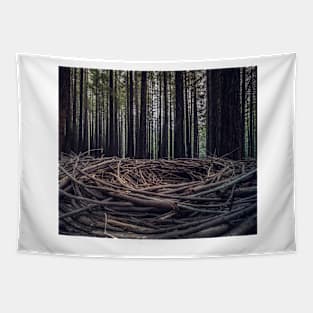 Redwood Fairy Circles Tapestry