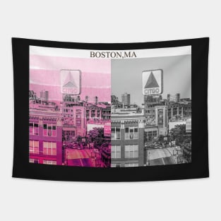 2x Boston Art Tapestry