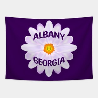 Albany Georgia Tapestry