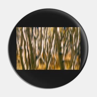 Aspen Abstract Pin