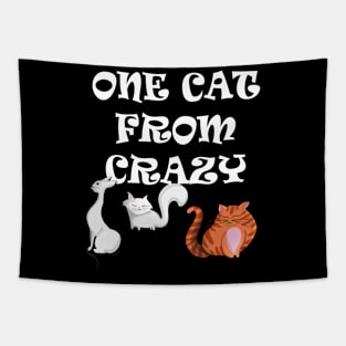 One cat from Crazy Tapestry