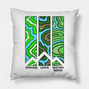 TOPOGRAPHY Pillow