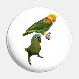Parrots Pin