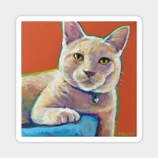 Hutchy the Orange Tabby Cat by Robert Phelps Magnet