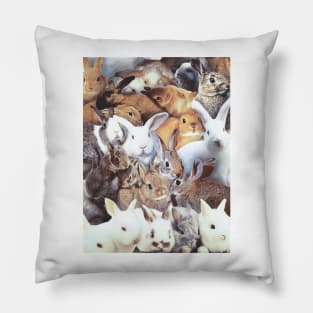 Rabbits Pillow