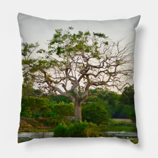 Tree of Life / Swiss Artwork Photography Pillow