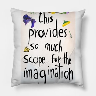 Anne provides scope for the imagination Pillow