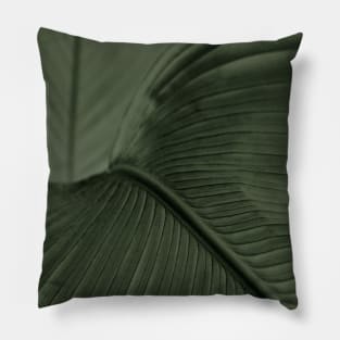 Huge Evergreen Tropical  Palm Leaf Pillow