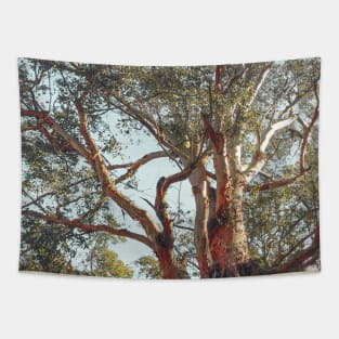 Tree Branch Tapestry