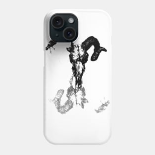 Where Do All The Skulls Go? Phone Case