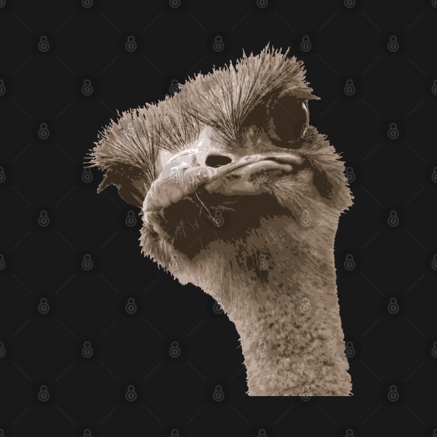 Ugly Faced Ostrich Vector Cut Out by taiche