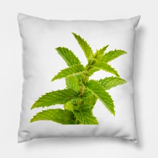 Fresh Mint Leaves Detail Pillow