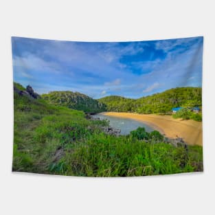 Lonely blue hut at Kasap lagoon sand beach Tapestry