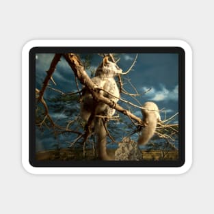 Natural environment diorama - Fox squirrel resting on a branch Magnet