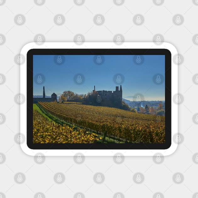 Burkheim, Kaiserstuhl - the castle Magnet by mbangert