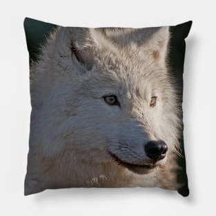 Arctic Wolf Pillow