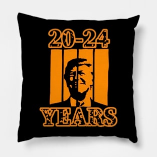 20-24 Years Pillow