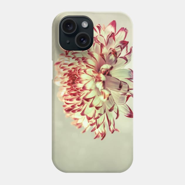 Hold onto the Light Phone Case by micklyn