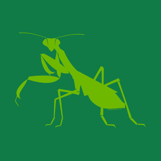 Mantis by tuditees