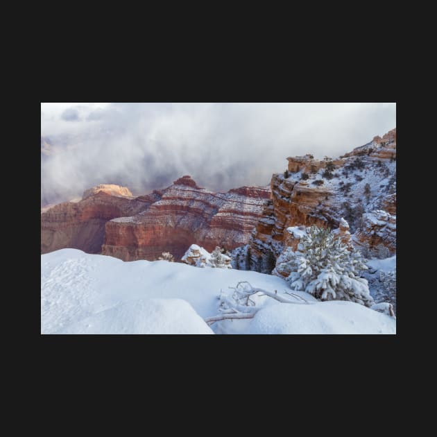 Grand Canyon Winter by jvnimages