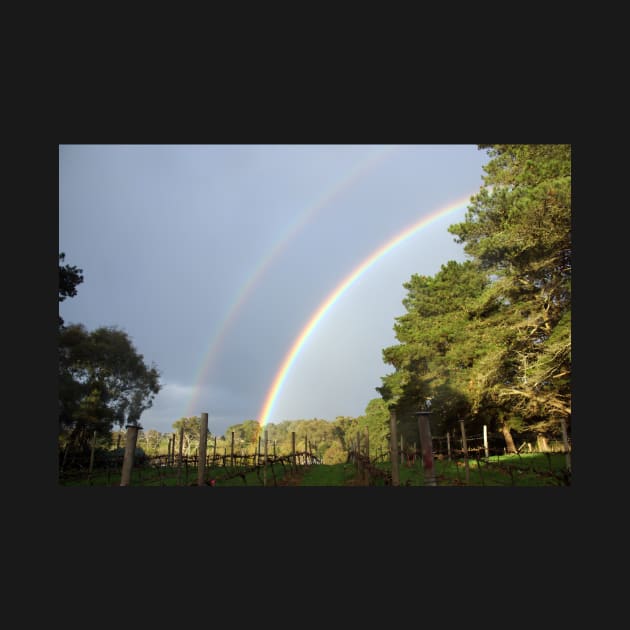 Rainbow in the Vineyard by  Avril Thomas by MagpieSprings