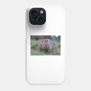 a wombat sitting on top of a grass covered field in tasmania near cradle mountain Phone Case