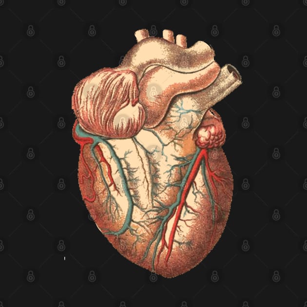 dark academia Halloween Zombie Biology Science Medical School Anatomy Heart by Tina