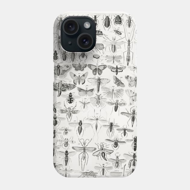 Entomology Phone Case by fleurdesignart