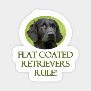 Flat Coated Retrievers Rule! Magnet