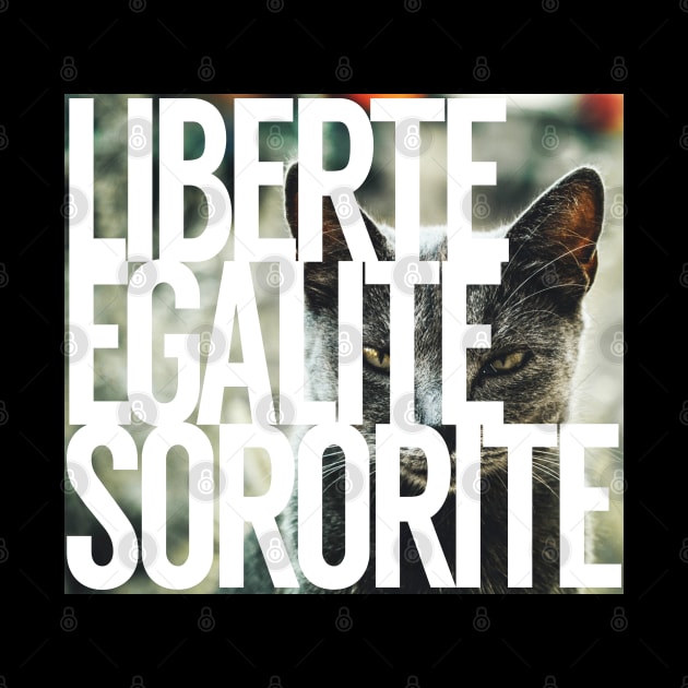 Liberte, Egalite, Sororite by Xanaduriffic